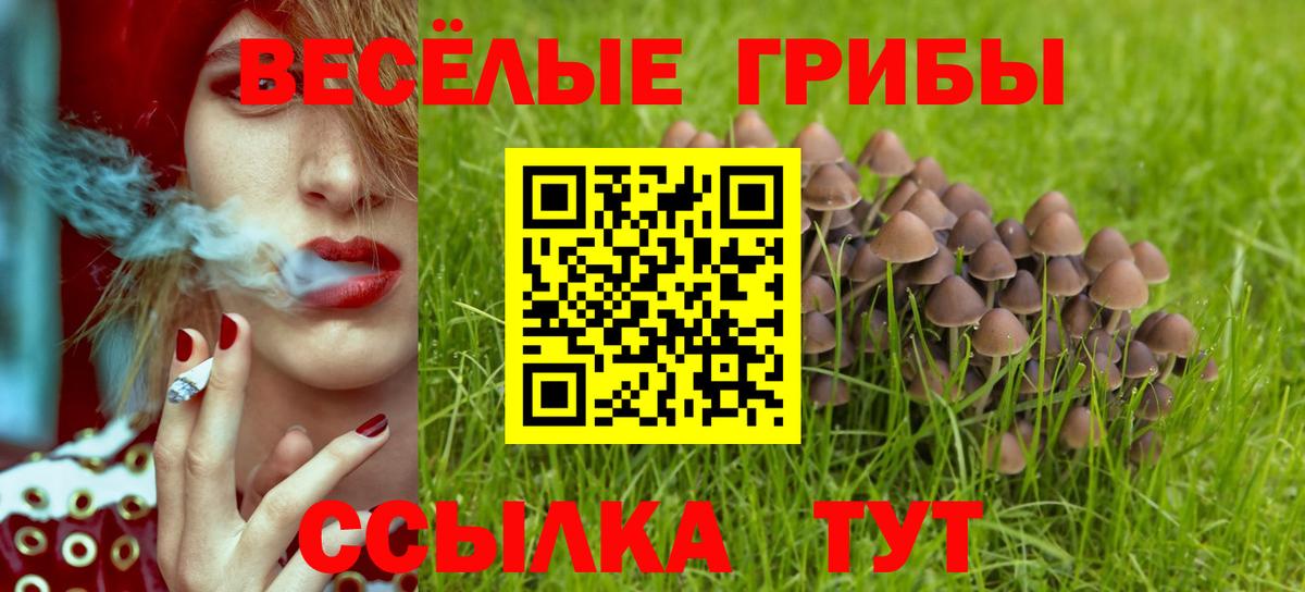 Ярцево  Галлюциногенные грибы Psilocybe  Вход с VPN  Псилоцибиновые грибы MAGIC MUSHROOMS 